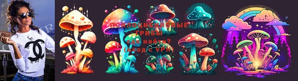 не бодяженный Алексин