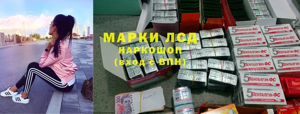спиды Алзамай